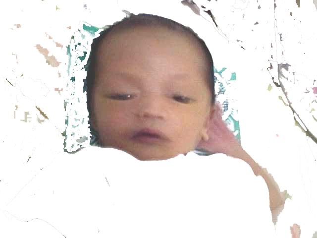Click for original image 37k 640x480